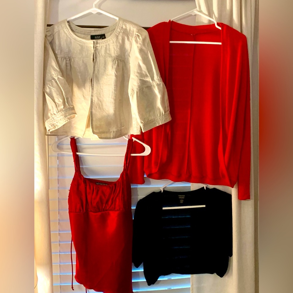 Lot of Holiday Tops